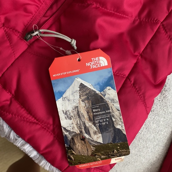 Pink north face winter coat - Picture 4 of 4